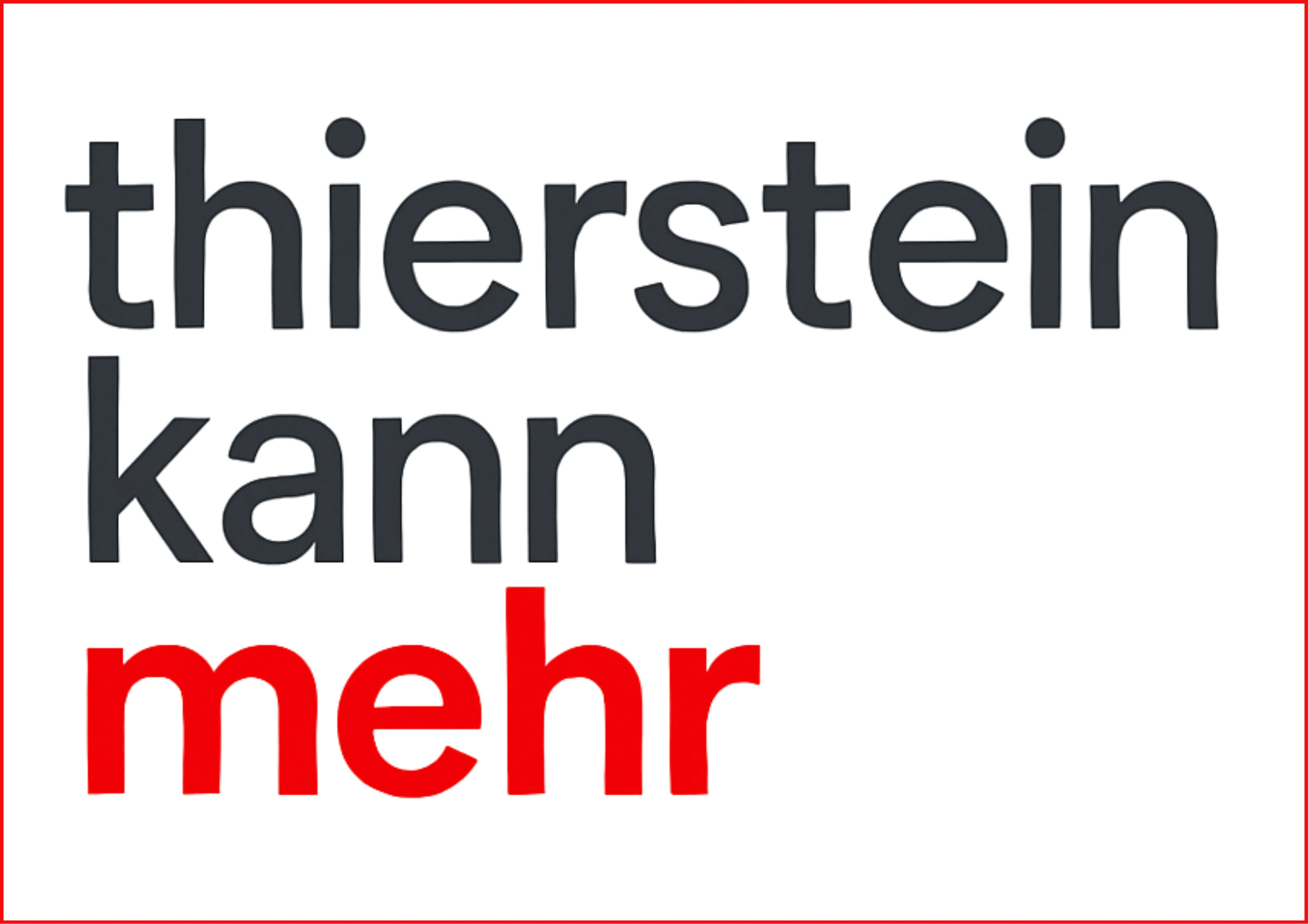 Thierstein kann mehr Logo